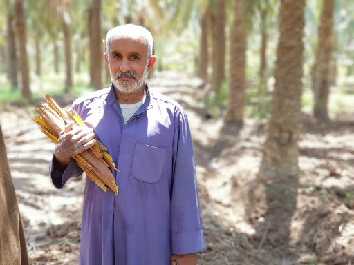 عرق طارونه(شکوفه نخل خرما) نیم لیتری - Image 2